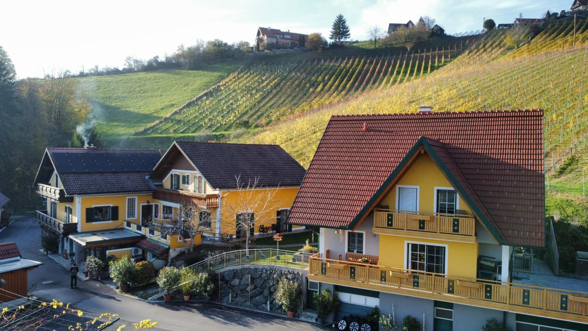 Ferienwohnung Stoff Kitzeck im Sausal Exterior photo